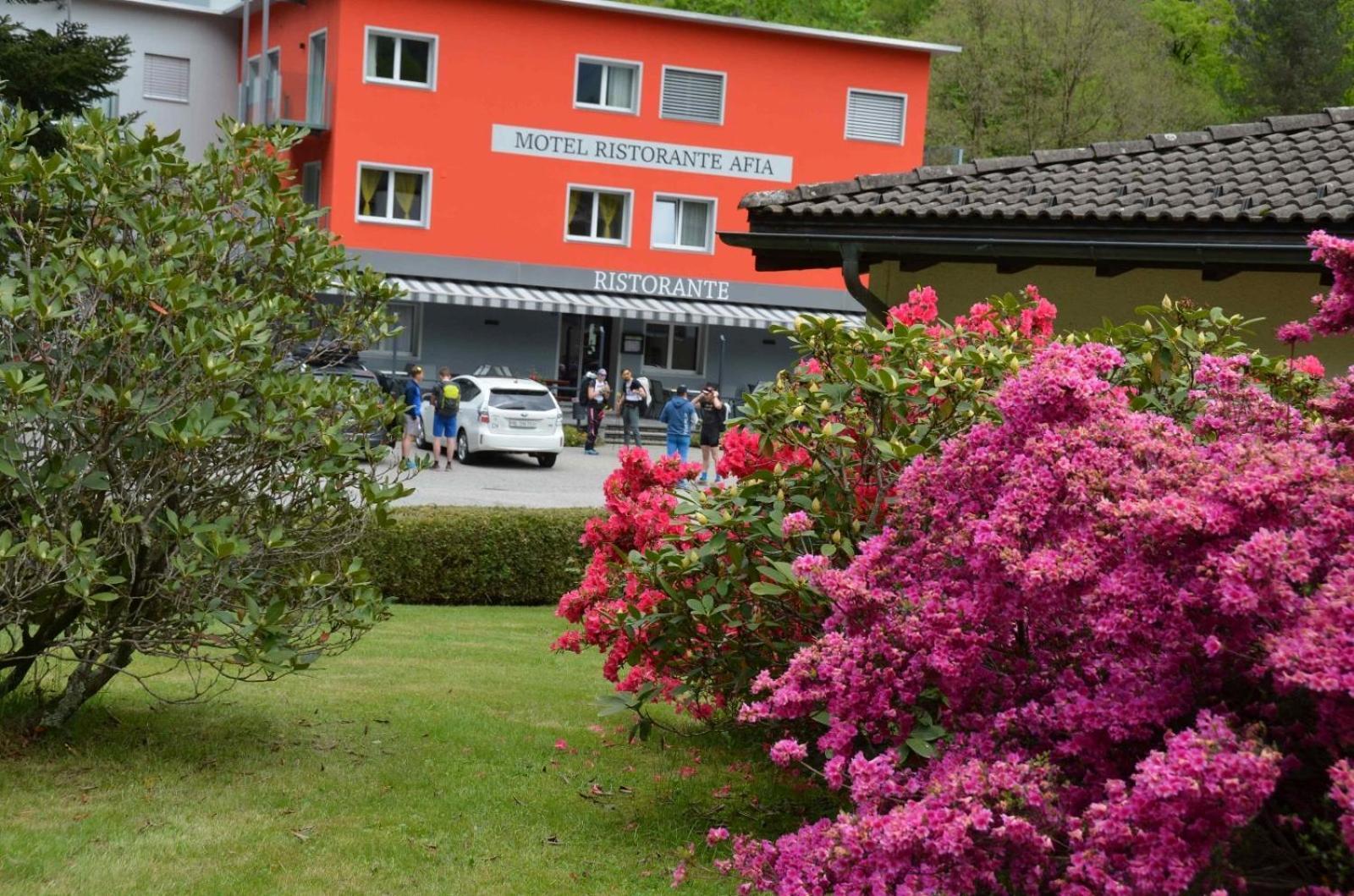 Motel Afia Cama Dış mekan fotoğraf